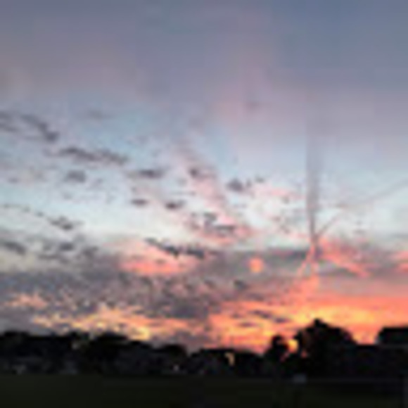 Meet your Posher, Gabi - Picture 1 of 1